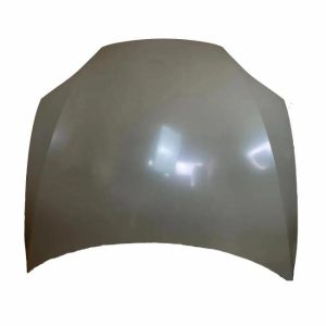 Engine Hoods |   Professional Manufacturer 1051875-e0-g 1051875 Front Hood Bonnet Lid Panel Car Hood For Tesla Model S